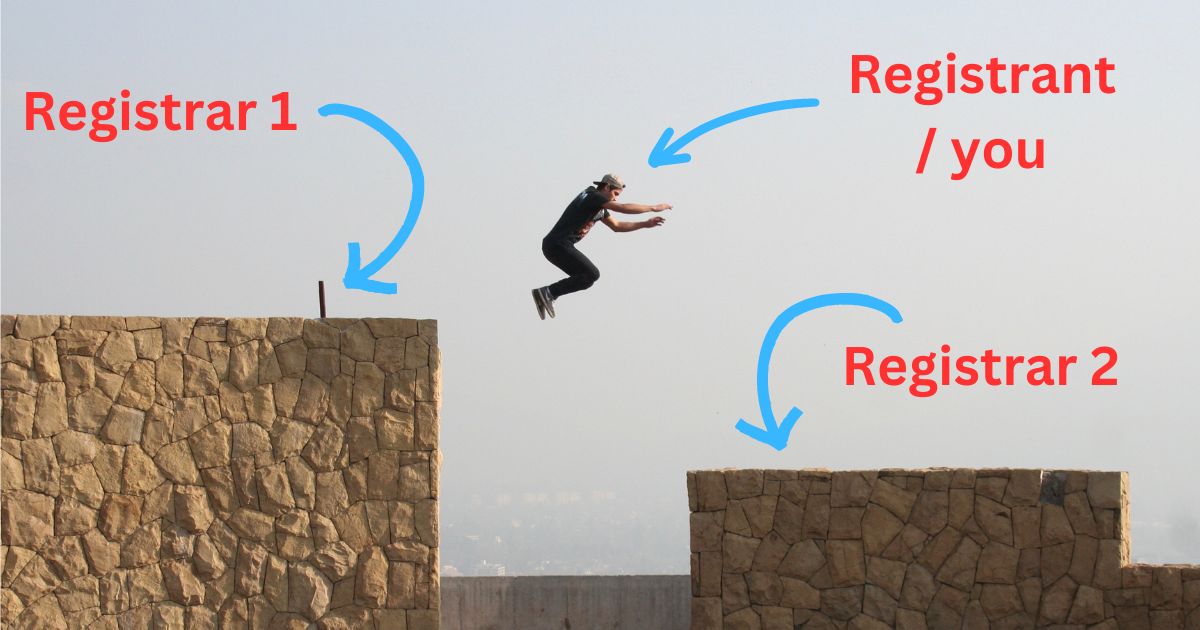 Registrar Hopping: A Cost-Saving Approach for Domain Management