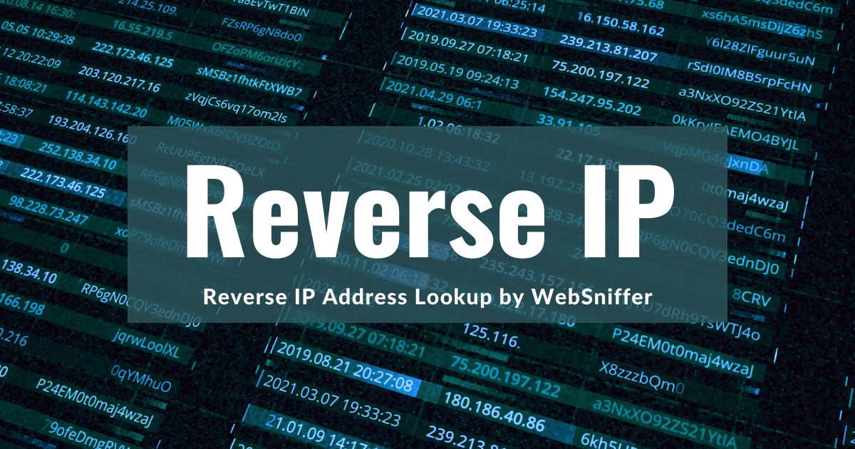 WebSniffer Launches Free Online Reverse IP Tool